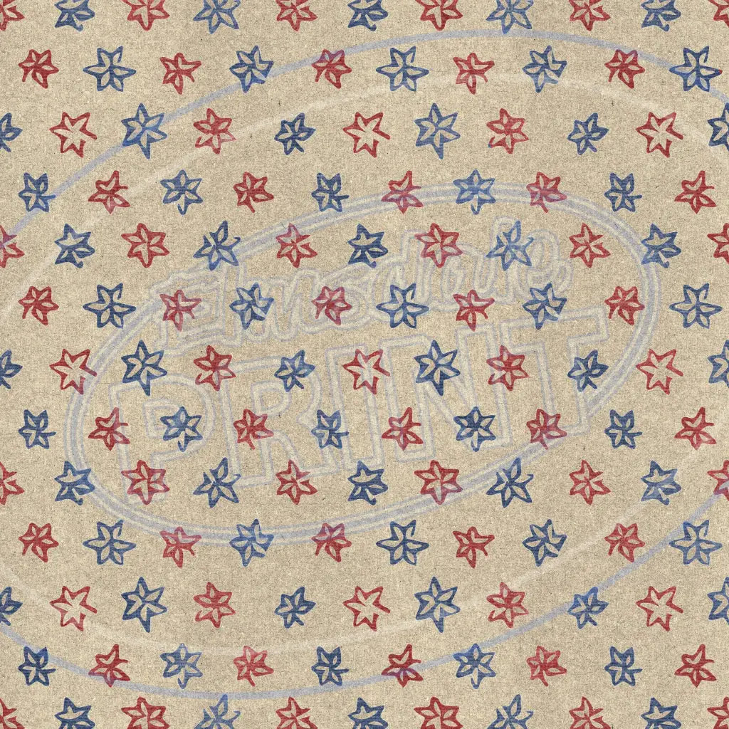 New Retro Usa 017 Printed Pattern Vinyl