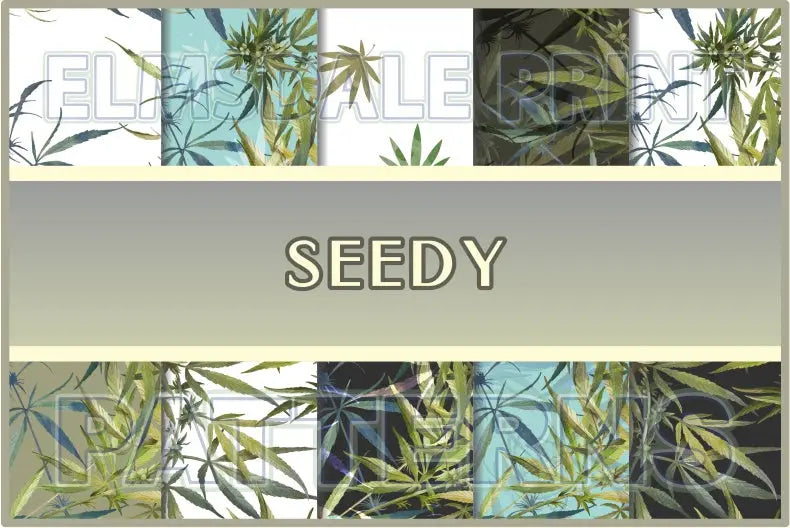 Seedy