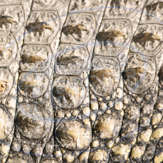 Animal Skins 002 Printed Pattern Vinyl