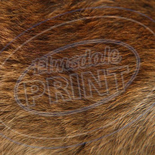 Animal Skins 012 Printed Pattern Vinyl