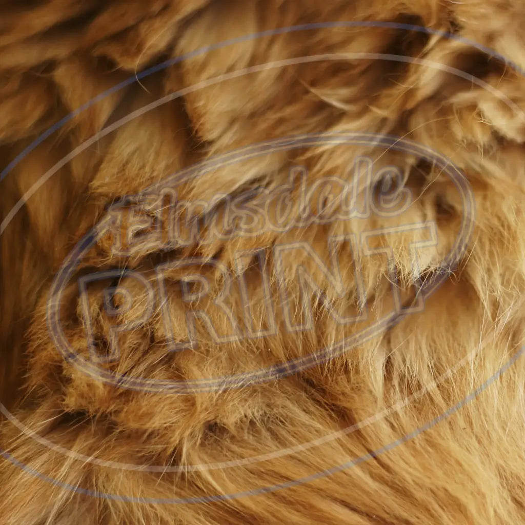 Animal Skins 016 Printed Pattern Vinyl