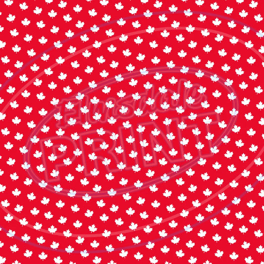 Canada Party 001 Printed Pattern Vinyl