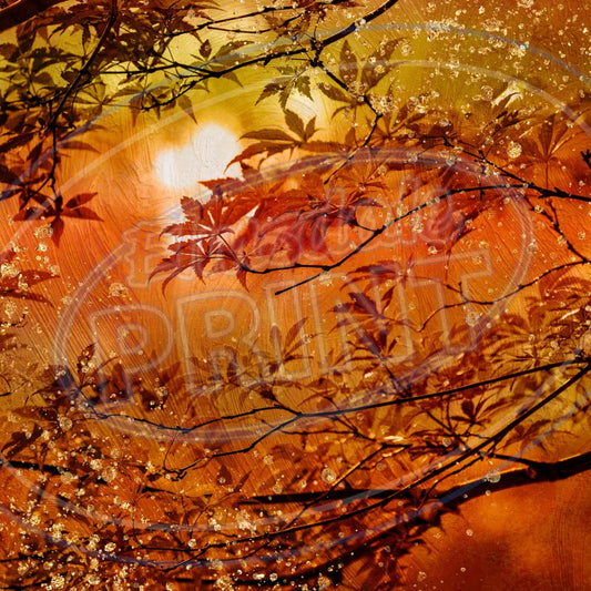 Fall Forest 006 Printed Pattern Vinyl