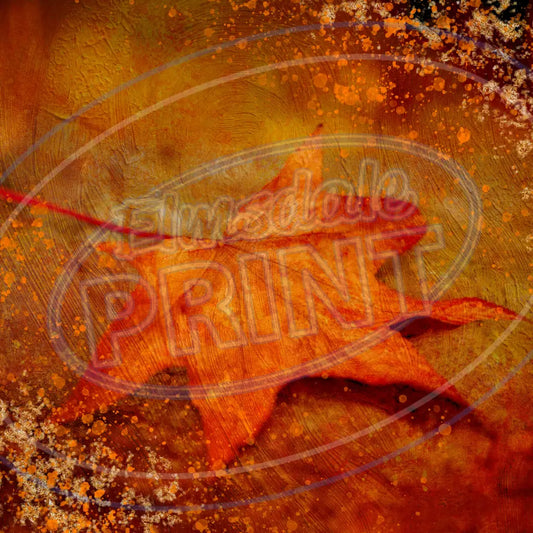 Fall Forest 007 Printed Pattern Vinyl