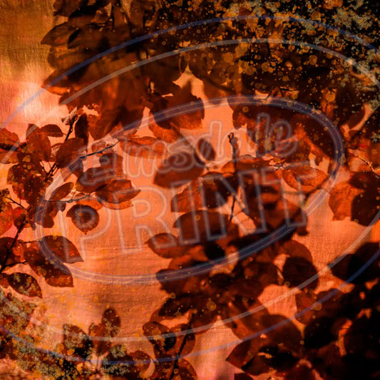 Fall Forest 011 Printed Pattern Vinyl