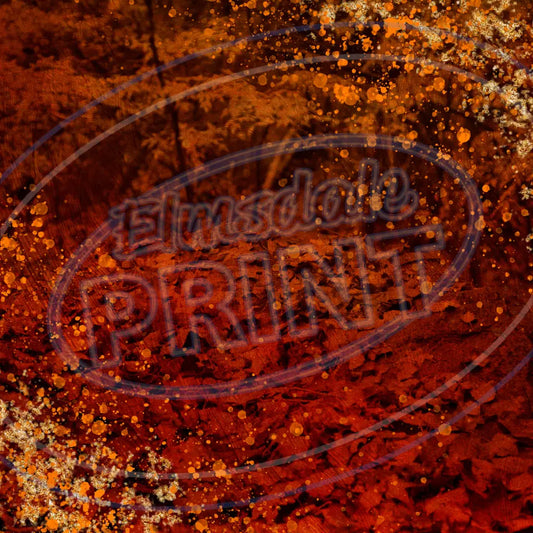 Fall Forest 016 Printed Pattern Vinyl