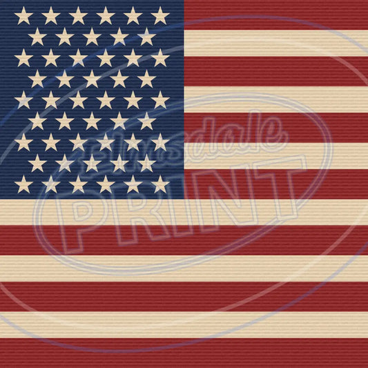 New Retro Usa 019 Printed Pattern Vinyl