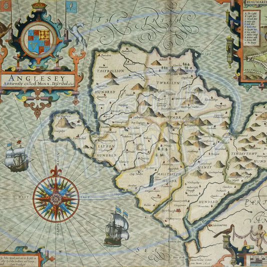 Old World Maps 012 Printed Pattern Vinyl