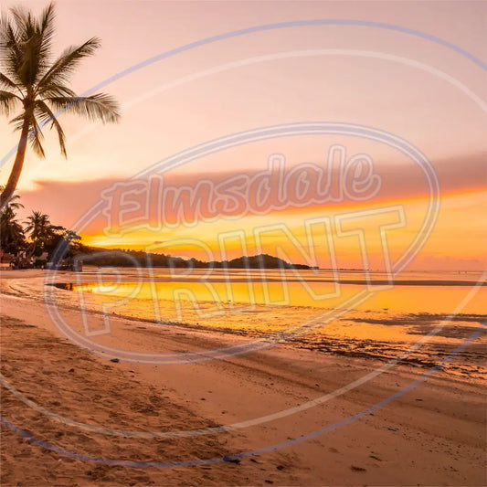 Tropical Dream 003 Printed Pattern Vinyl